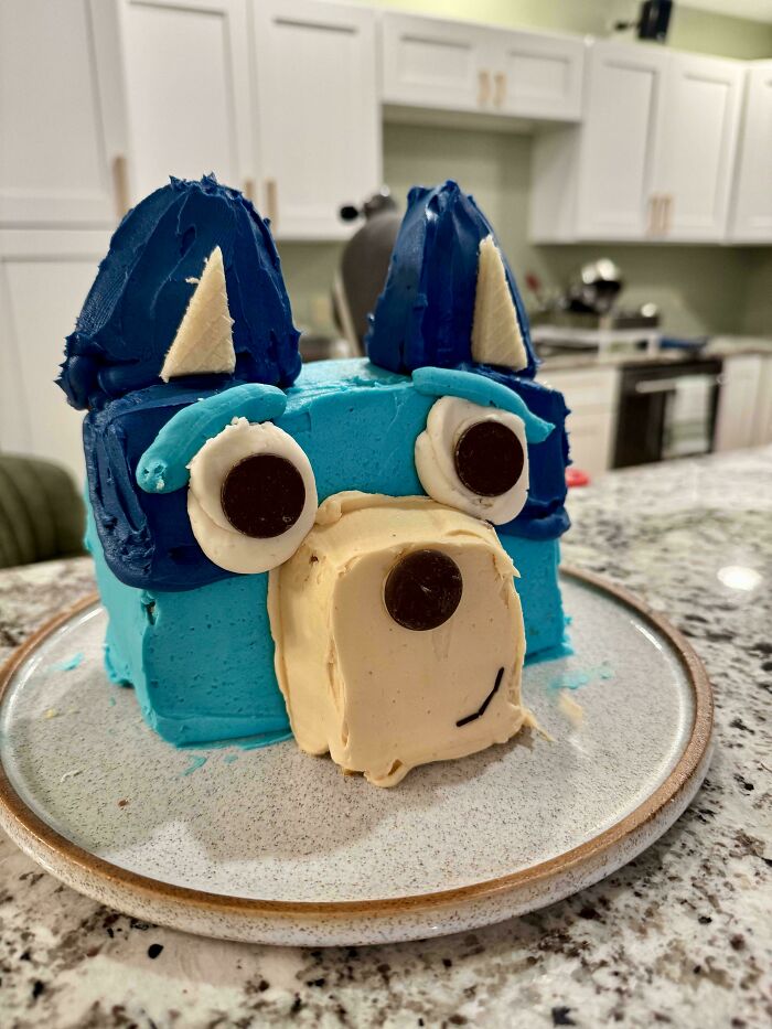 Blue and beige DIY dog cake with chocolate eyes and ears on a plate in a home kitchen setting, showcasing creative DIY wins.
