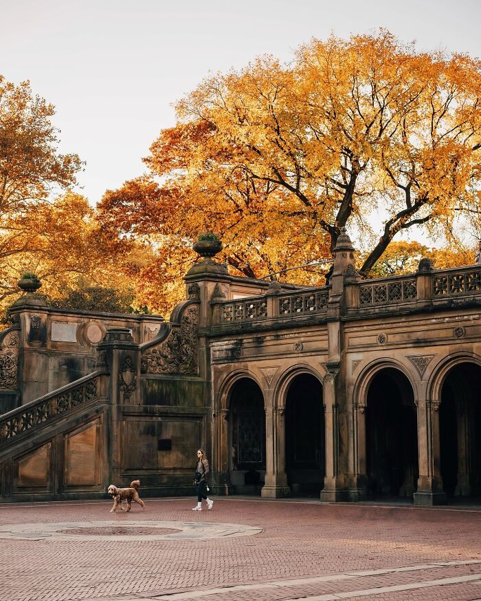 A person walks a dog past beautiful architecture with arches and stairs, surrounded by golden autumn trees.