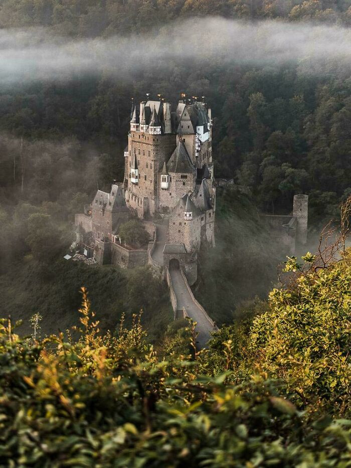 Eltz Castle, a majestic piece of architecture, shrouded in mist, standing amidst dense forest.