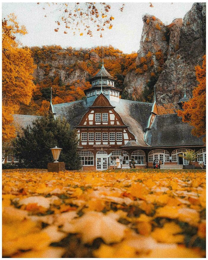 Beautiful architecture: An elegant building with intricate details, set against a backdrop of colorful autumn foliage and rocky cliffs.