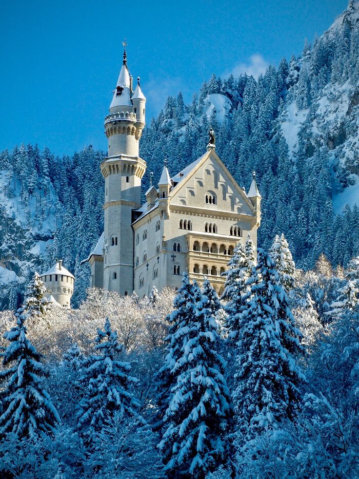Stunning castle architecture nestled in a snow-covered forest, appearing majestic and almost unreal in its winter setting.