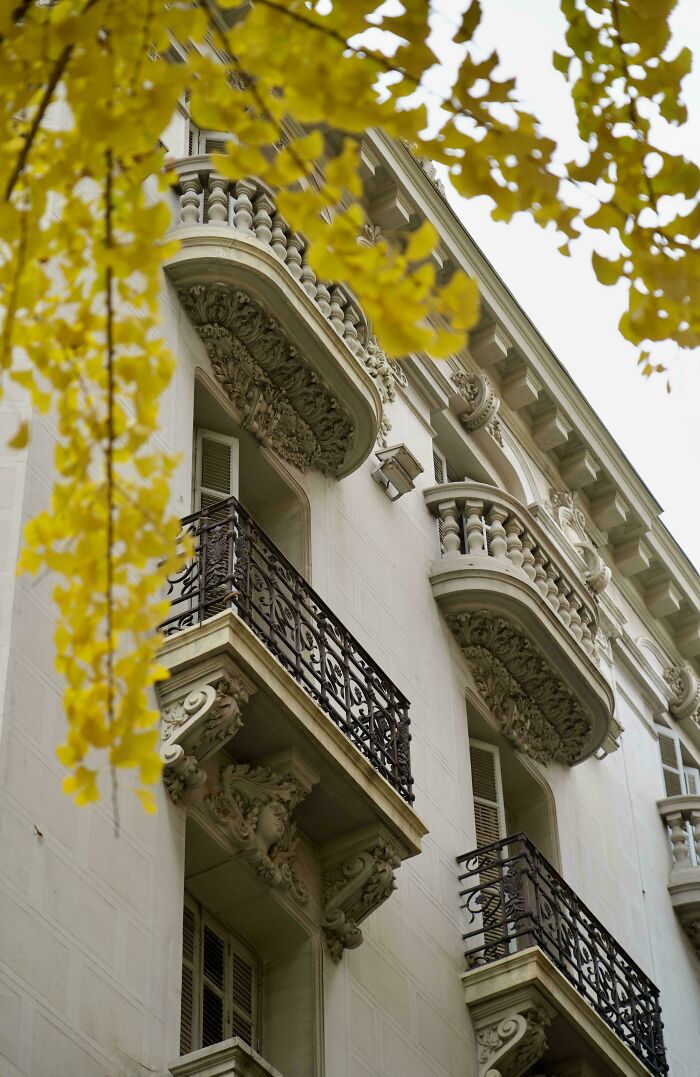 Elegant Parisian architecture with ornate balconies and classical detailing, framed by vibrant yellow autumn leaves.