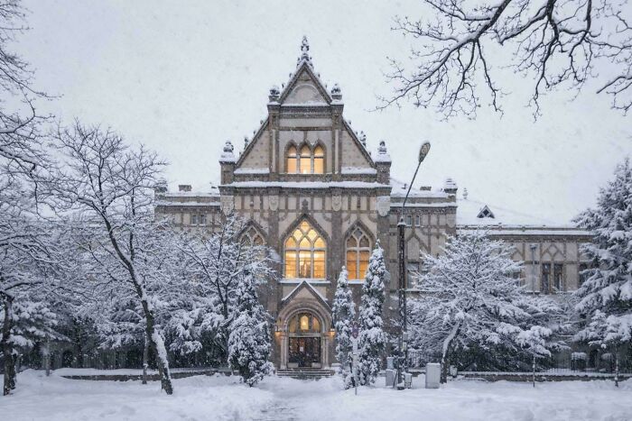 Majestic Gothic-style building surrounded by snow-covered trees, showcasing beautiful architecture in winter.