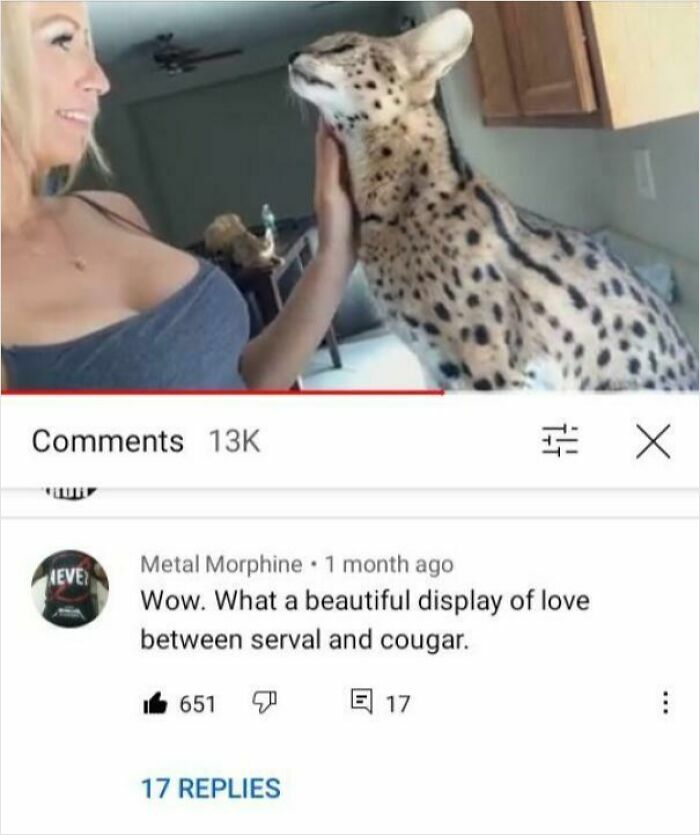 Woman petting a serval cat indoors with popular social media comments shown below the image.
