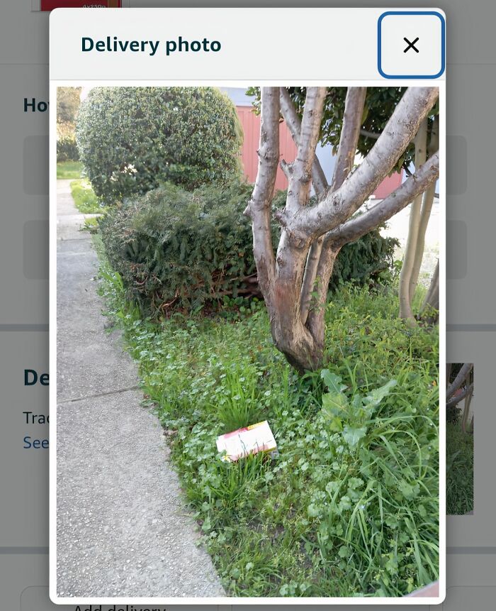 Delivery confirmation photo showing a small package hidden in overgrown grass near a tree outside a home.