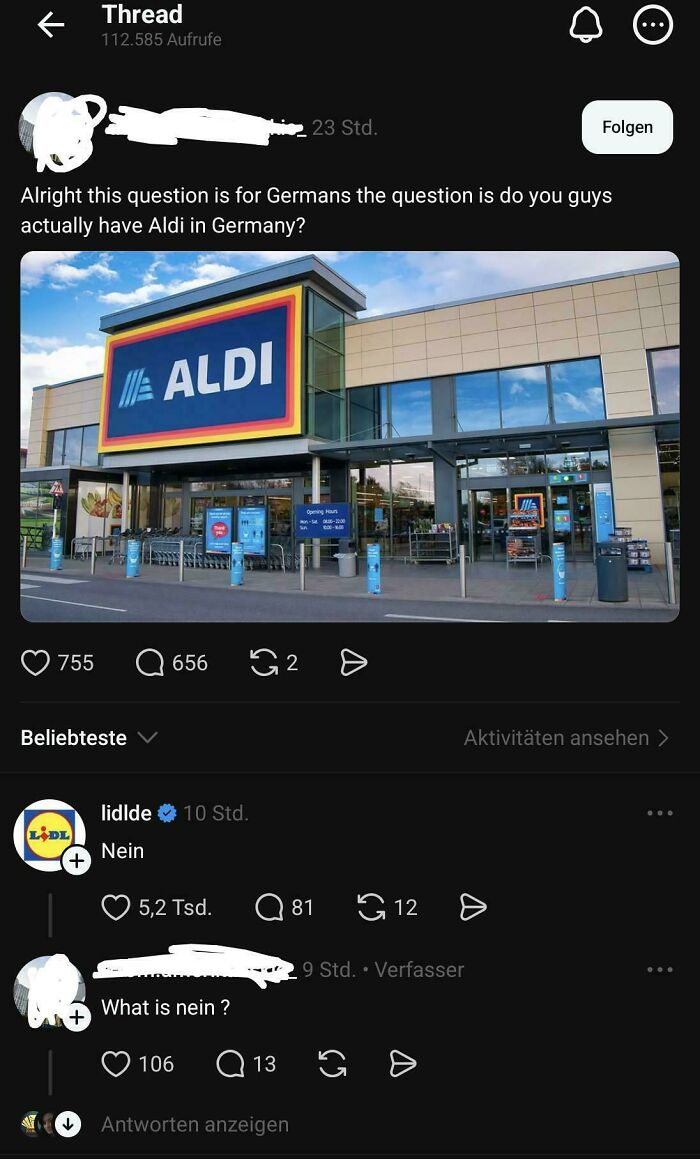 Social media screenshot showing Americans confidently posted questions asking if Germany has Aldi stores.
