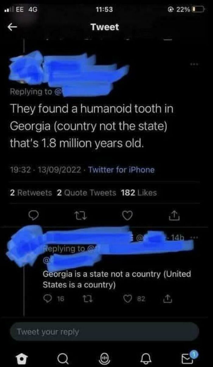A social media exchange where Americans confidently post incorrect geographical facts about Georgia.