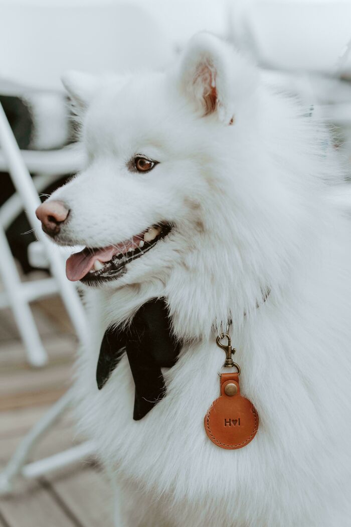 I Can’t Believe This Guest Wore White To My Wedding