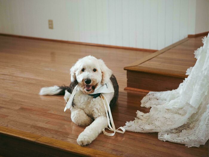 This Guest Also Wore White To My Wedding, And Stepped All Over My Dress & Didn’t Even Apologize!!