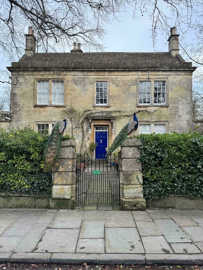 Birds Of A Feather Flock Together