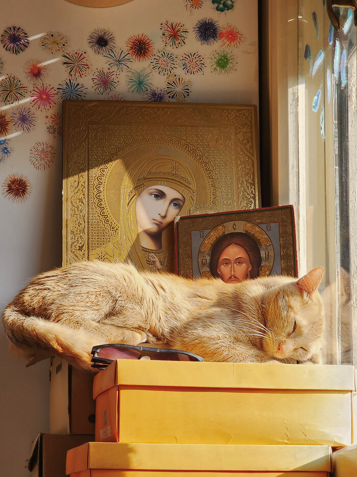 My Byzantine Cat