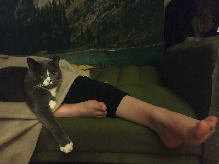 My Favorite Photo Of Our Late Cat