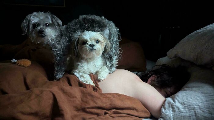 Accidental Caravaggio