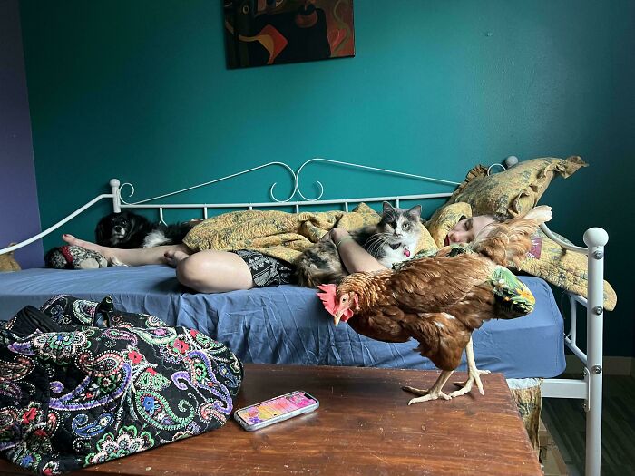 2021, After A Long Trip And Finally Getting Home To My Moms