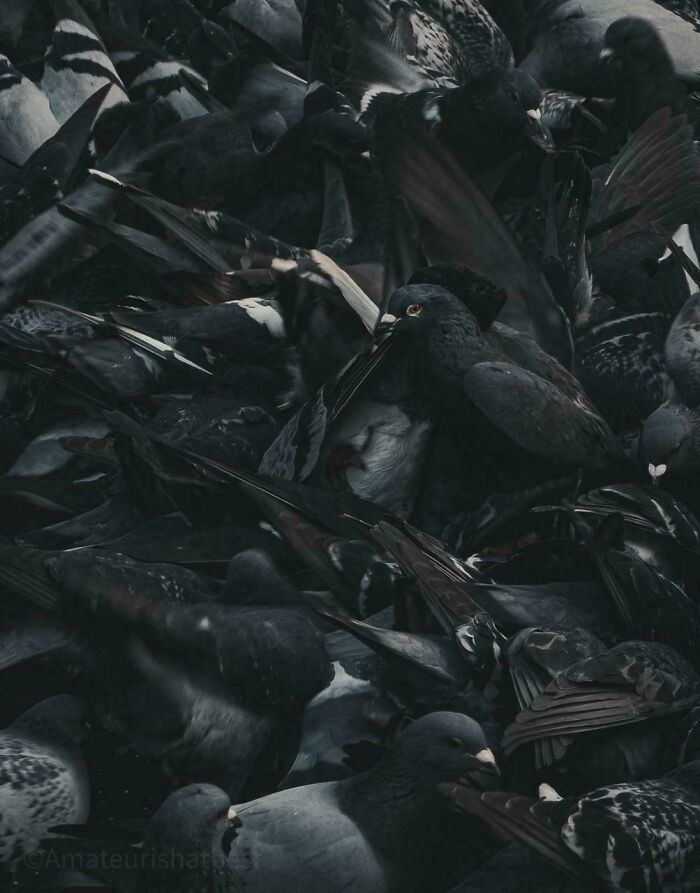 I Was Told This Should Go Here?