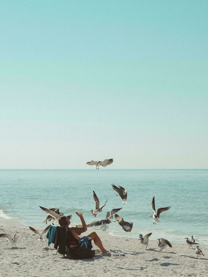 Photo I Took Of A Man Feeding Seagulls