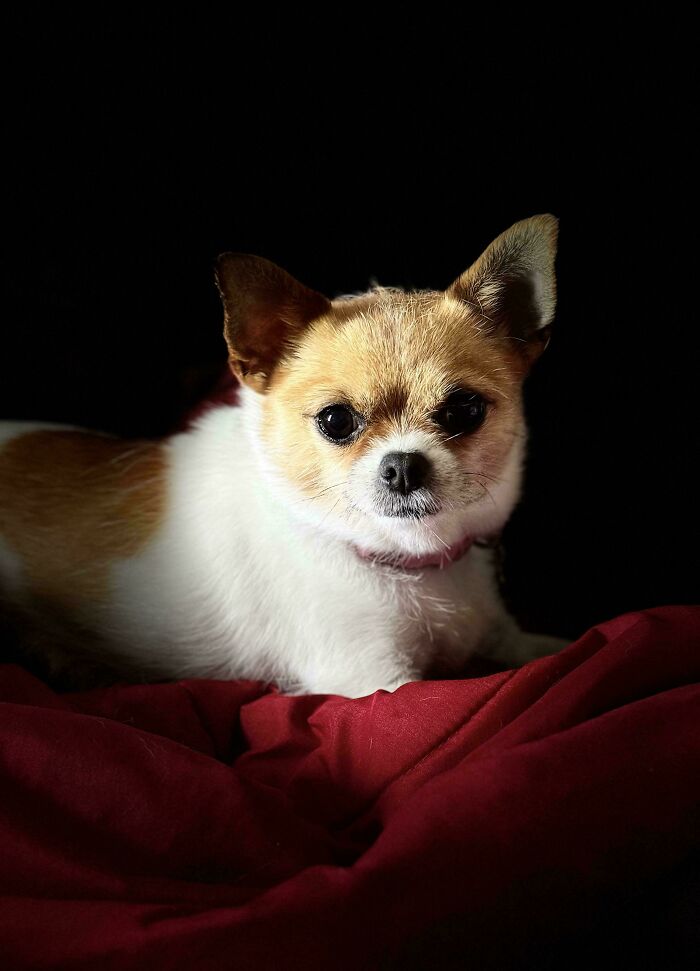 I Was Told This Would Be Appreciated Here <3