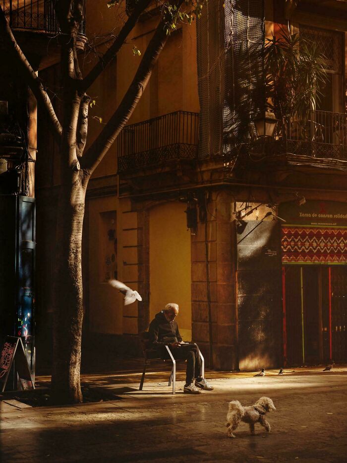 Did I Misunderstand This Sub