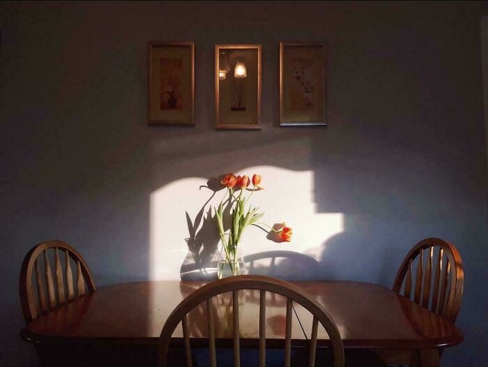 The Flower Drooped With The Light So Perfectly