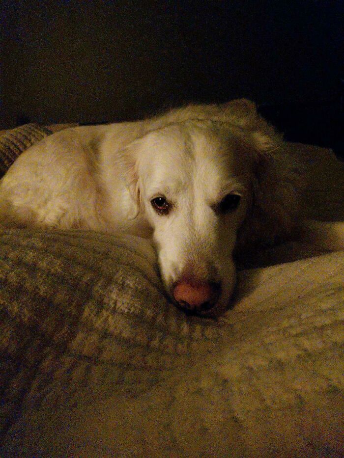 Thought This Might Fit Here - Very Seepy Goirl