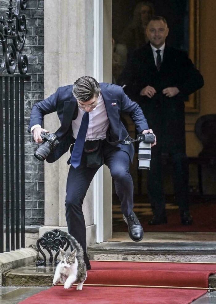 Larry The Cat Underfoot At 10 Downing Street
