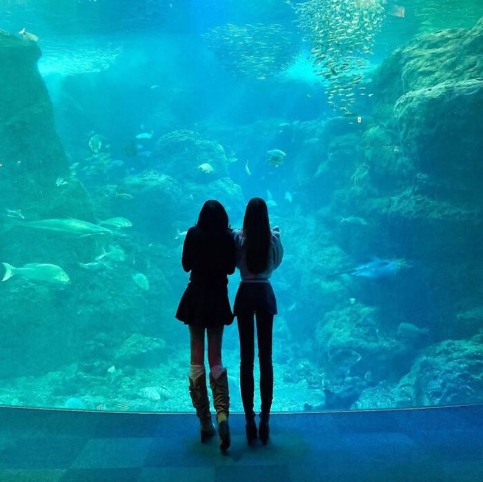 Two women viewing marine life at an aquarium, not looking natural on social media.