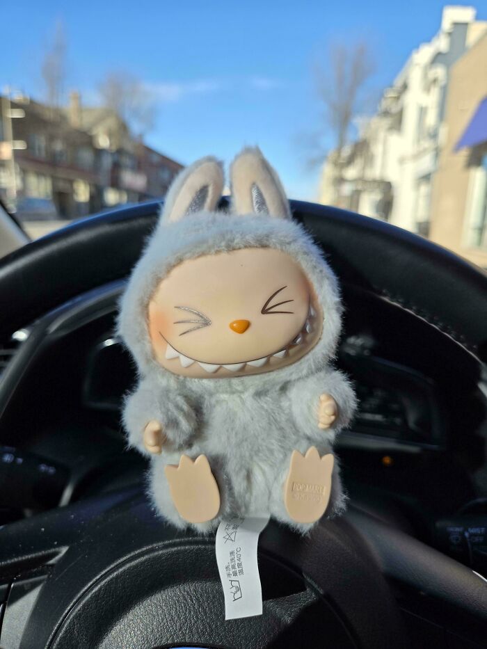 A small, fluffy bunny toy, a jackpot from the thrift store, sits on a car dashboard.