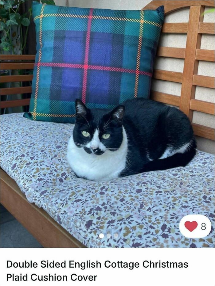 Black and white cat resting on a floral cushion with a plaid pillow on a wooden bench in a Vinted ad.