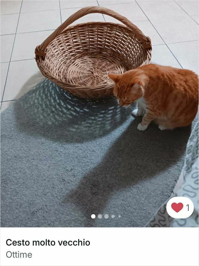 Orange cat sitting next to an empty wicker basket on a tiled floor, highlighting cats in Vinted ads.