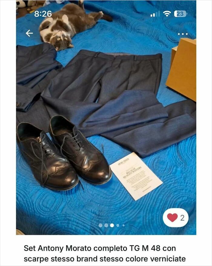 Cat lying on blue bed next to men's suit and black leather shoes in Vinted ads stealing the spotlight.