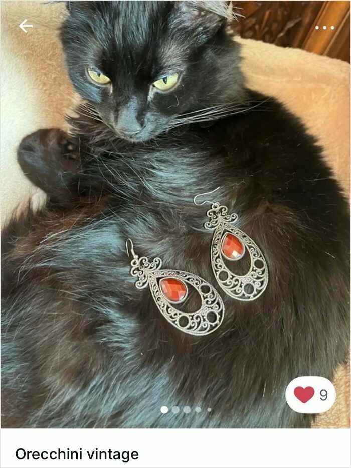 Black cat lying down with vintage earrings on its fur, showcasing cats stealing the spotlight in Vinted ads.