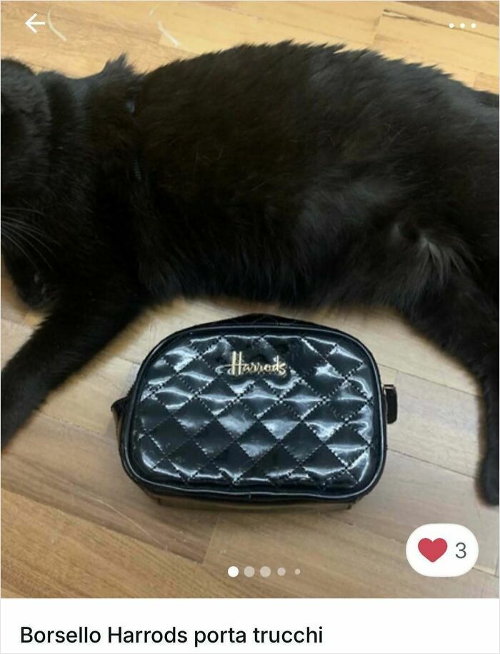 Black cat lying next to a Harrods quilted cosmetic bag, showcasing cats stealing the spotlight in Vinted ads.