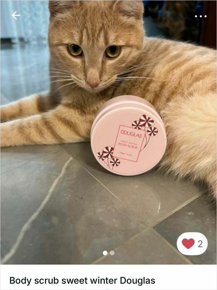 Ginger cat lying on the floor next to a Douglas sweet winter body scrub container in a Vinted ad.