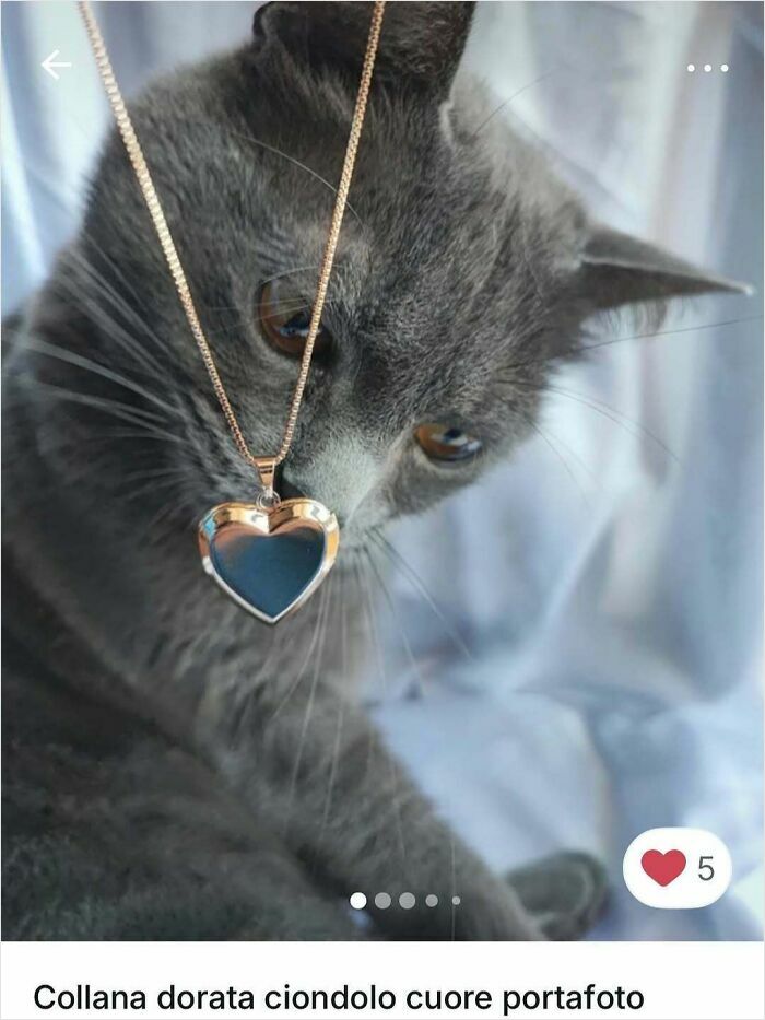 Gray cat curiously examining a gold heart-shaped necklace pendant in a close-up Vinted ads photo.