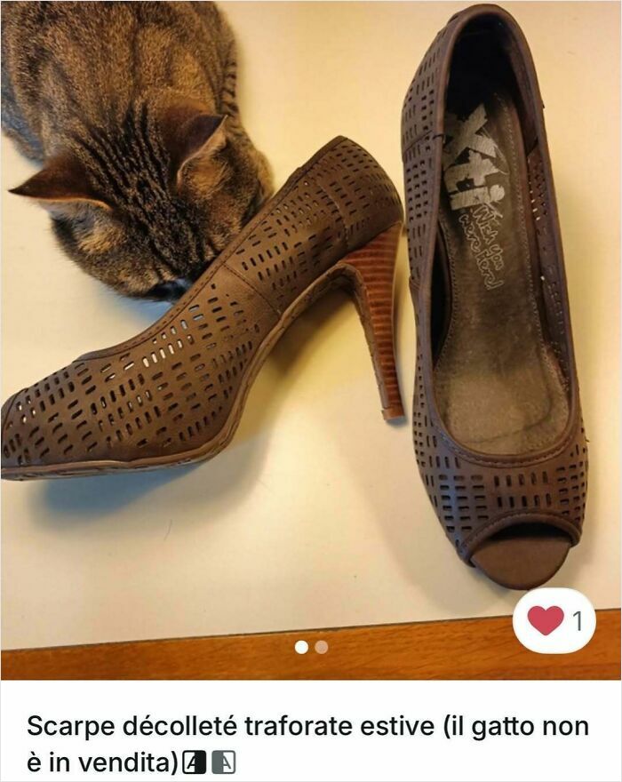 Cat sniffing brown perforated high heel shoes in a playful scene featuring cats in Vinted ads.