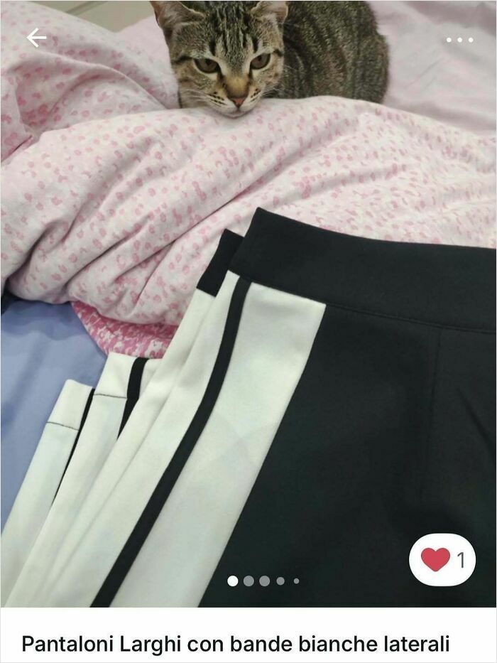 Tabby cat resting on a pink blanket next to black and white side-striped pants in a Vinted ad spotlighting cats.