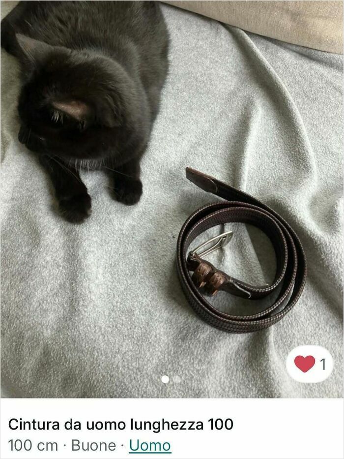 Black cat lying next to a coiled brown belt on a gray blanket, cats stealing the spotlight in Vinted ads.