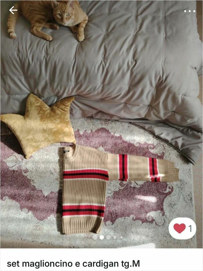 Orange cat lying on a gray comforter next to a folded striped sweater, showcasing cats stealing the spotlight in Vinted ads.