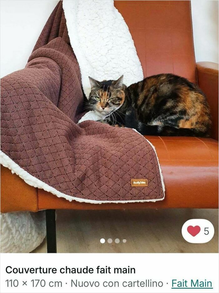 Cat lounging on a brown handmade blanket draped over a leather chair in a cozy Vinted ad setting.