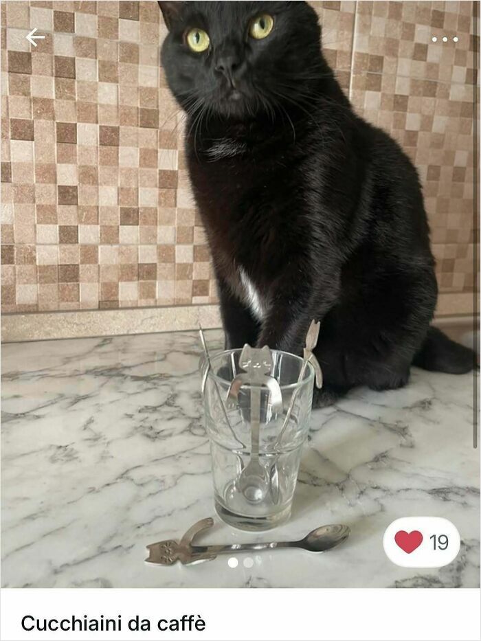 Black cat sitting on a marble countertop with cat-themed coffee spoons, highlighting cats in Vinted ads.