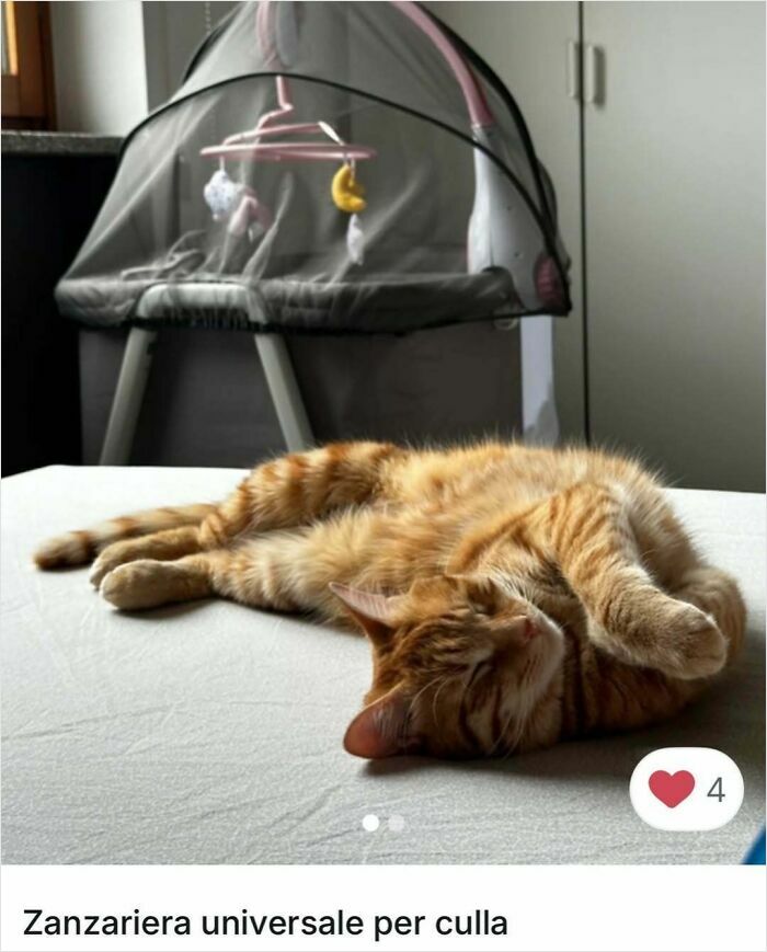 Orange tabby cat lying on bed beside a baby cradle covered by a mosquito net, showcasing cats in Vinted ads.