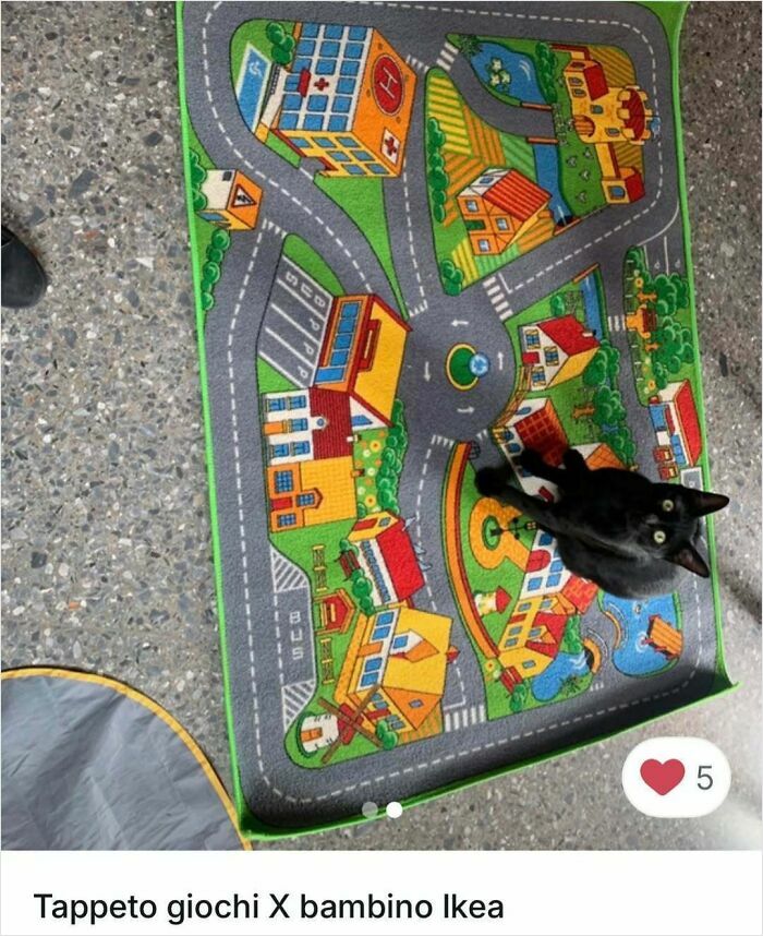 Black cat sitting on a colorful children's play mat, perfectly stealing the spotlight in Vinted ads.