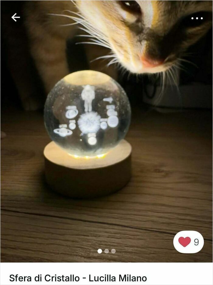 Cat curiously inspecting a glowing crystal sphere on a wooden surface in a cozy indoor setting for Vinted ads.
