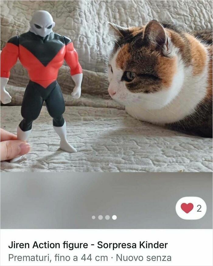 Calico cat staring at a Jiren action figure, showcasing cats stealing the spotlight in Vinted ads.