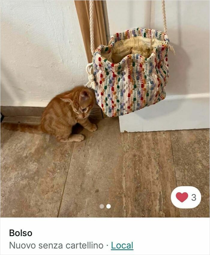 Ginger cat sitting on floor next to colorful woven bag hanging from a door, highlighting cats in Vinted ads.