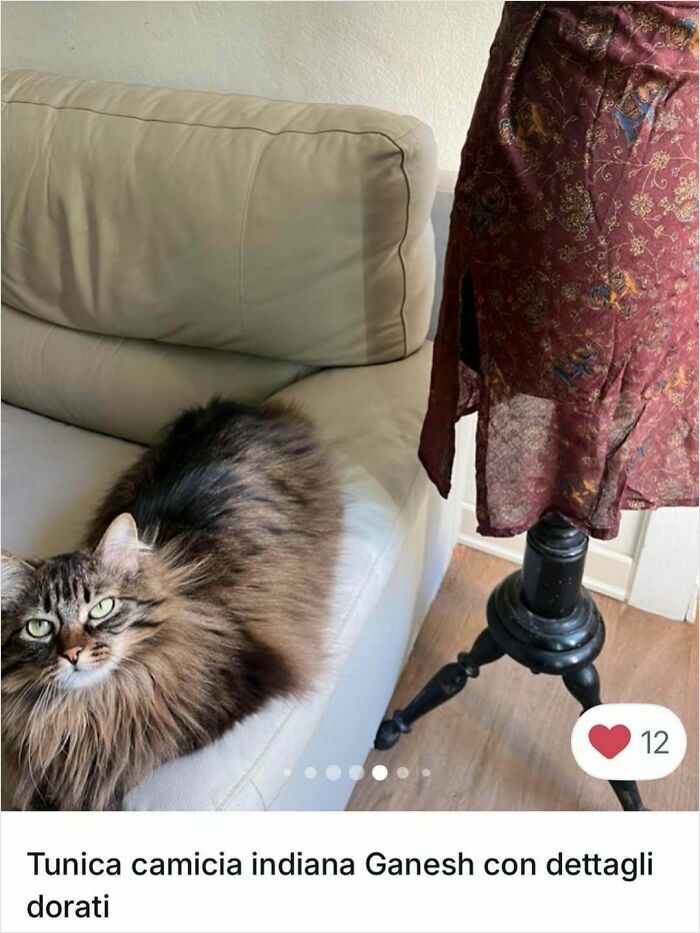 Fluffy cat lying on a couch beside a vintage dress on a mannequin, highlighting cats in Vinted ads.