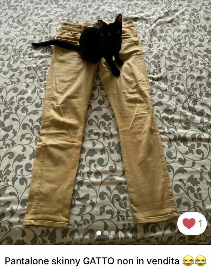 Black cat sitting on tan skinny pants on patterned bed, showing cats stole the spotlight in Vinted ads.