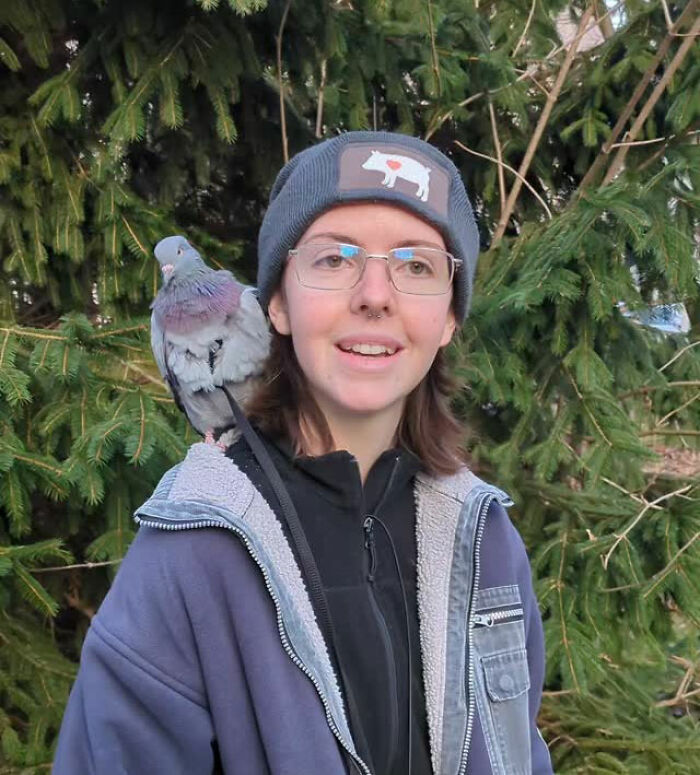Woman with glasses wearing a beanie outdoors with a half-blind pigeon perched on her shoulder during a daily walk.