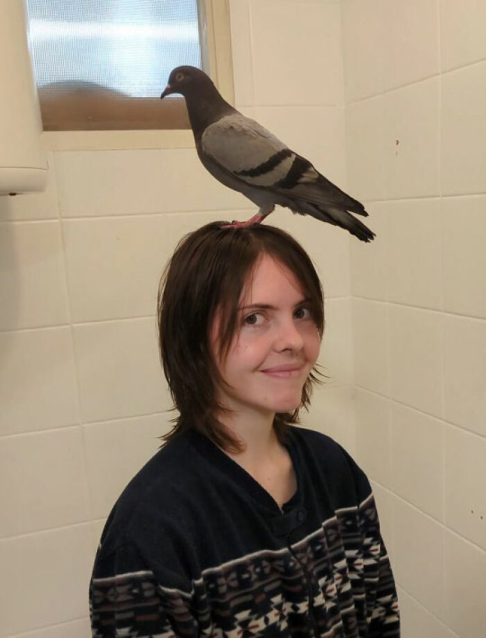 Woman smiling indoors with a half-blind pigeon perched on her head, showcasing their unique bond and daily walks.