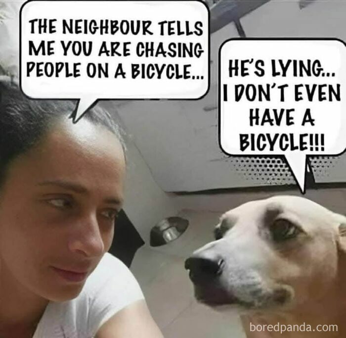 Man and dog having funny conversation, perfect for daily dose of dad jokes and humor with witty captions.